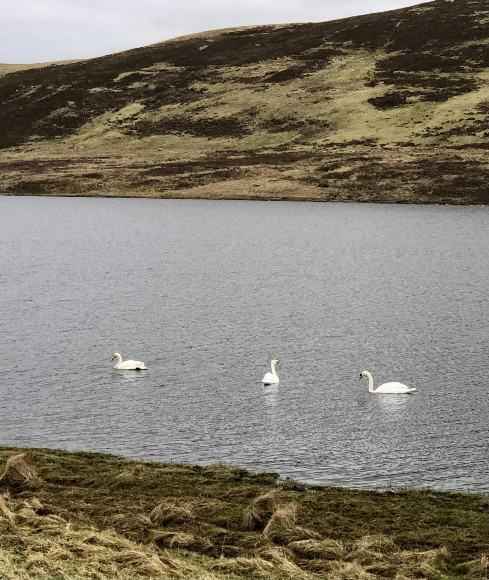 Scalloway Caravan Park Luaran gambar